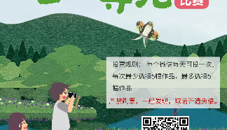 2021年臺(tái)州眼視光醫(yī)院OK鏡俱樂(lè)部少兒攝影大賽投票通道開(kāi)啟！趕快來(lái)投票吧！