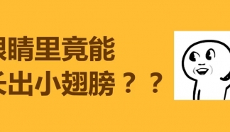 科普 | 眼睛里還能長出了“蟲子翅膀”？